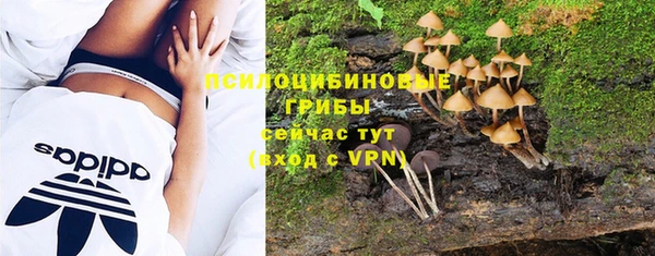 PSILOCYBIN Алзамай