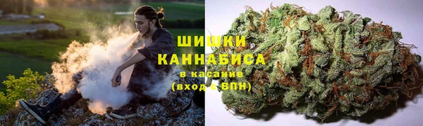 PSILOCYBIN Алзамай